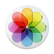 대회사진 갤러리